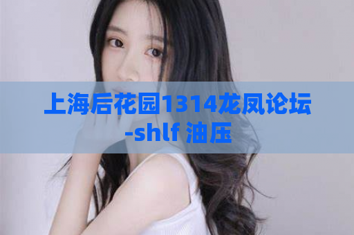 上海后花园1314龙凤论坛-shlf 油压