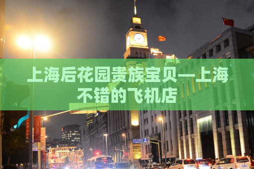 上海后花园贵族宝贝—上海不错的飞机店