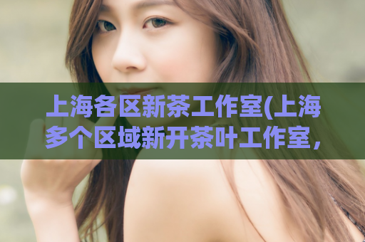 上海各区新茶工作室(上海多个区域新开茶叶工作室，专注于茶叶制作和销售)