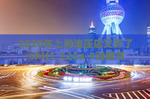 2020年上海油压店又开了-shlf1-225a-3说明书
