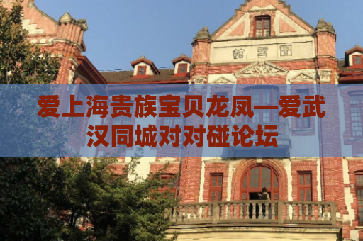 爱上海贵族宝贝龙凤—爱武汉同城对对碰论坛