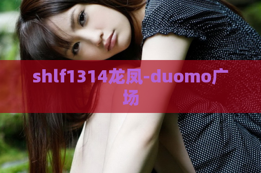 shlf1314龙凤-duomo广场