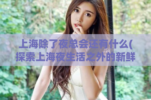 上海除了夜总会还有什么(探索上海夜生活之外的新鲜地方)
