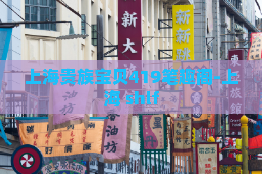 上海贵族宝贝419笔趣阁-上海 shlf