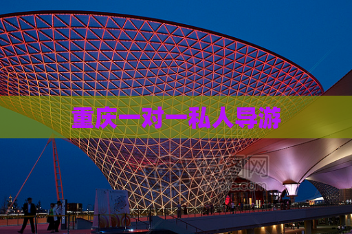 重庆一对一私人导游