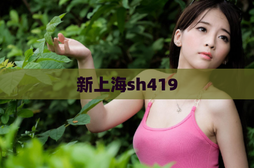 新上海sh419