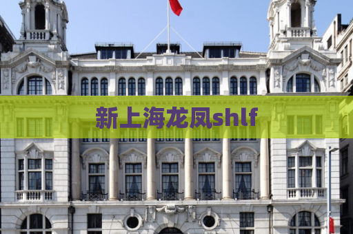 新上海龙凤shlf