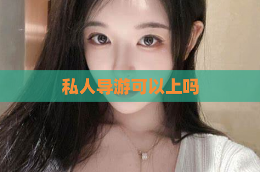 私人导游可以上吗