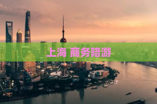 上海 商务陪游
