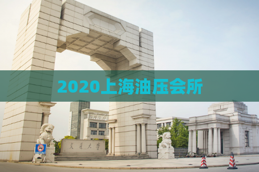 2020上海油压会所