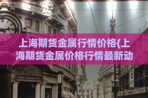 上海期货金属行情价格(上海期货金属价格行情最新动态)