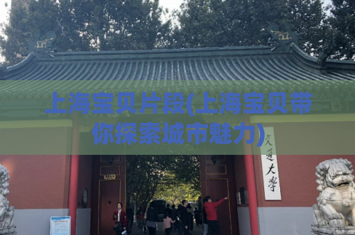 上海宝贝片段(上海宝贝带你探索城市魅力)
