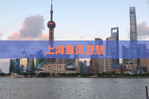 上海宝贝卫慧