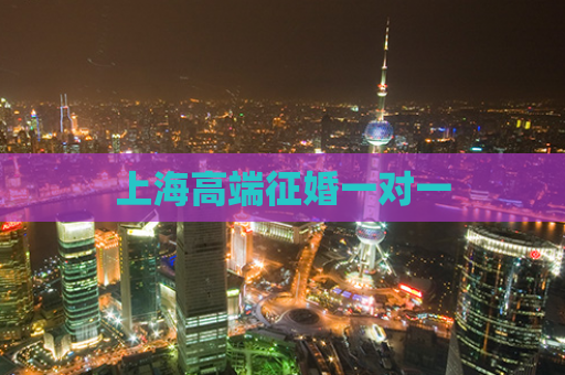 上海高端征婚一对一