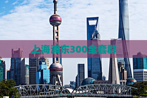 上海浦东300全套群