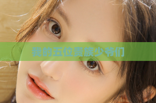 我的五位贵族少爷们
