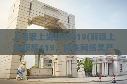 上海狼上海狼族419(解读上海狼族419，陌生网络黑产浮出水面！)