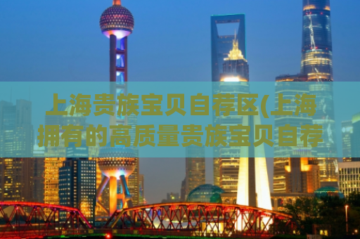 上海贵族宝贝自荐区(上海拥有的高质量贵族宝贝自荐资源)