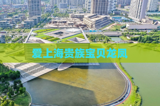 爱上海贵族宝贝龙凤
