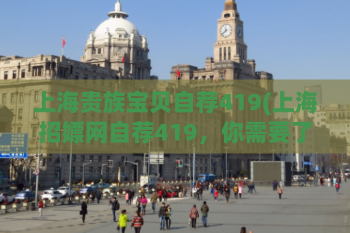 上海贵族宝贝自荐419(上海招嫖网自荐419，你需要了解的重要信息)