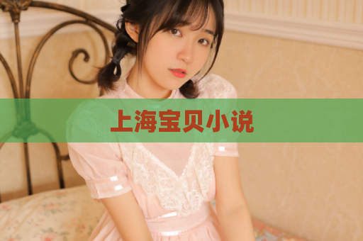 上海宝贝小说