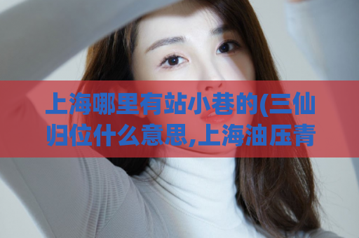 上海哪里有站小巷的(三仙归位什么意思,上海油压青浦)
