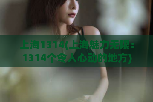 上海1314(上海魅力无限：1314个令人心动的地方)