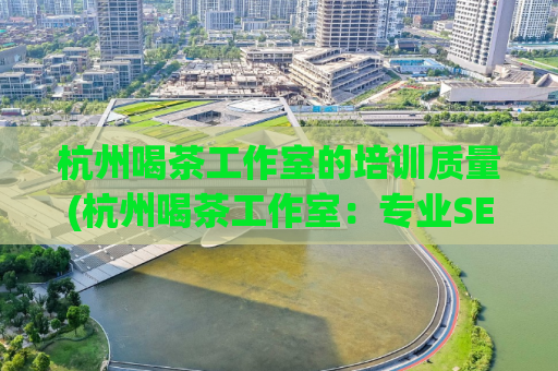 杭州喝茶工作室的培训质量(杭州喝茶工作室：专业SEO培训课程解析)