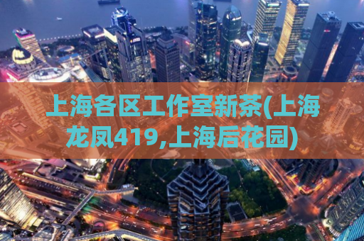 上海各区工作室新茶(上海龙凤419,上海后花园)
