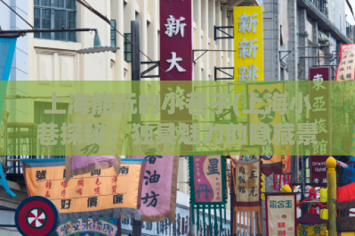 上海能玩的小巷子(上海小巷探秘：独具魅力的隐藏景点)