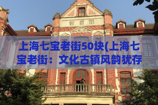 上海七宝老街50块(上海七宝老街：文化古镇风韵犹存)