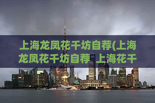 上海龙凤花千坊自荐(上海龙凤花千坊自荐  上海花千坊，难忘龙凤的魅力)