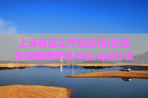 上海各区工作室新茶(巴厘岛风情理疗是什么,spa什么价位带飞机)
