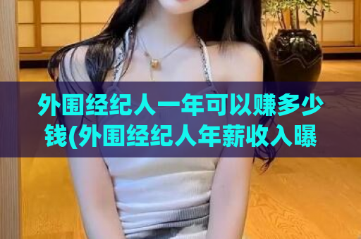 外围经纪人一年可以赚多少钱(外围经纪人年薪收入曝光，惊人数字震撼！)