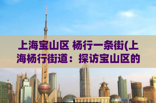 上海宝山区 杨行一条街(上海杨行街道：探访宝山区的人气商业街)