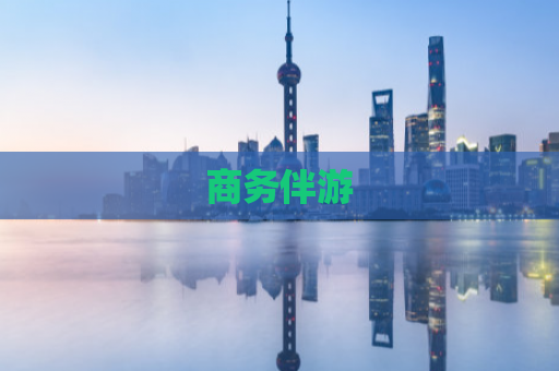 商务伴游