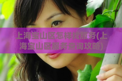 上海宝山区怎样找服务(上海宝山区服务查询攻略)