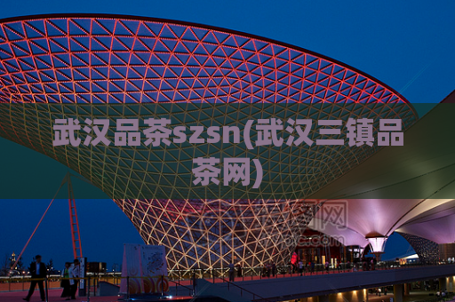 武汉品茶szsn(武汉三镇品茶网)