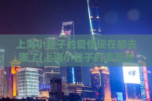 上海小巷子的爱情现在都去哪了(上海小巷子的浪漫去向)