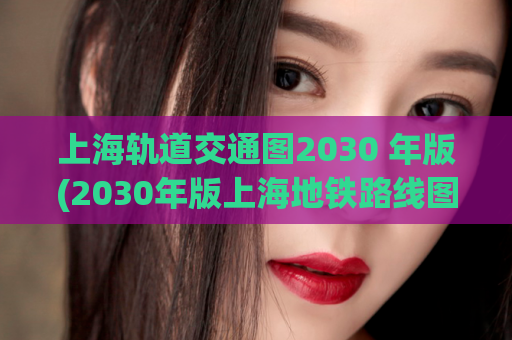 上海轨道交通图2030 年版(2030年版上海地铁路线图发布)